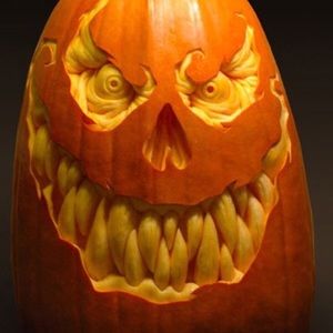 Meet your Posher, Jodi